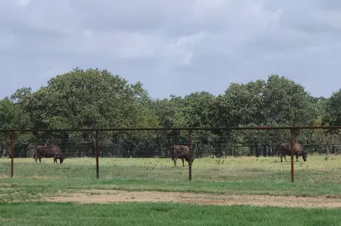 Other - 105 Logans Run Rd, Perrin, TX 76486 photo 8 of 10