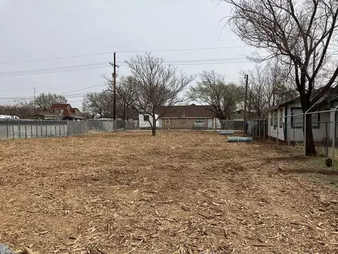1207 S Buchanan St, Amarillo, TX 79101