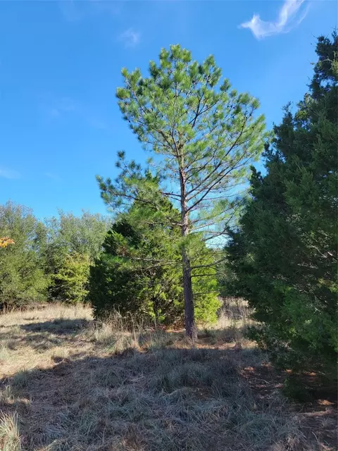 795 Phillips Dr, Azle, TX 76020