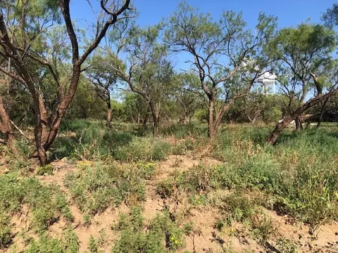5 Griffin Rd, Albany, TX 76430
