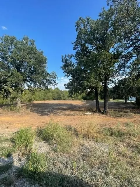1043 Twin Creeks Dr, Weatherford, TX 76088