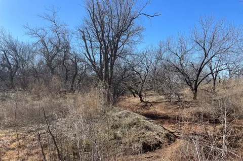 tbd Smart Ave, Spur, TX 79370
