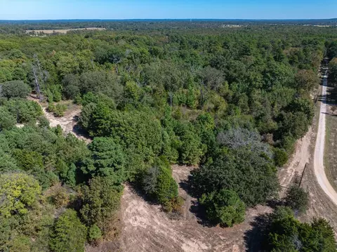 Tract 1 Fm Rd. 279 Road, Ben Wheeler, TX 75754