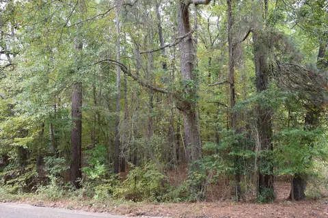 0 Hinton St, Minden, LA 71055 photo 4