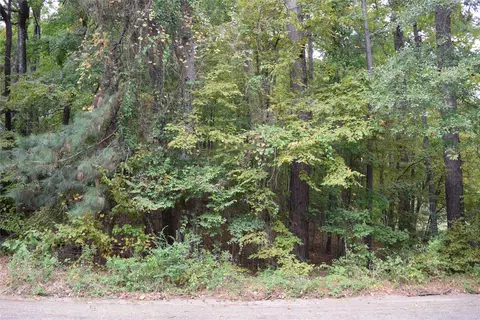 0 Hinton St, Minden, LA 71055 photo 5