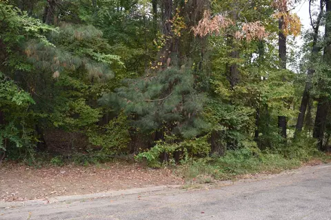 0 Hinton St, Minden, LA 71055 photo 6