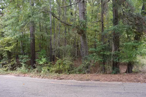 0 Hinton St, Minden, LA 71055 photo 2