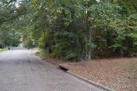 0 Hinton St, Minden, LA 71055