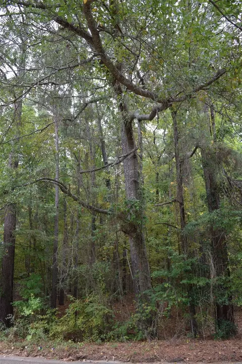 0 Hinton St, Minden, LA 71055 photo 3