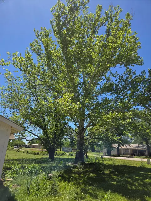 305 S Leon St, Gustine, TX 76455 photo 4