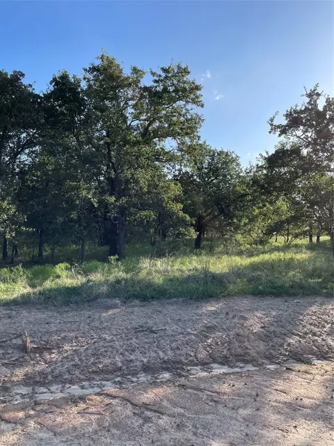 328 Rita Ridge Ct, Millsap, TX 76066