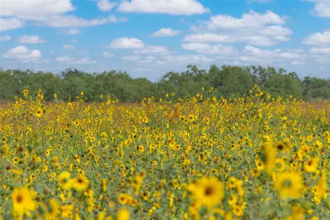 1434 Cr 313, Gouldbusk, TX 76845