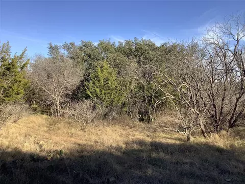 5 N Acres Tbd N Highway 6, Cisco, TX 76437 photo 7
