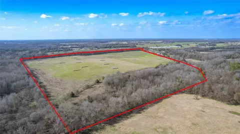 80 Ac Lot2 County Road 2376 #2, Winnsboro, TX 75494