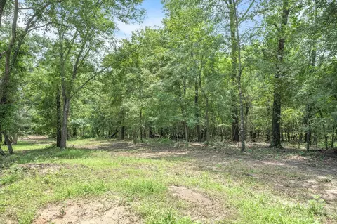 tbd Vz County Road 1804, Grand Saline, TX 75140