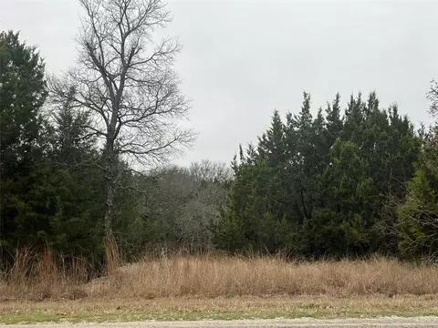 1141 Neches Trl, Whitney, TX 76692