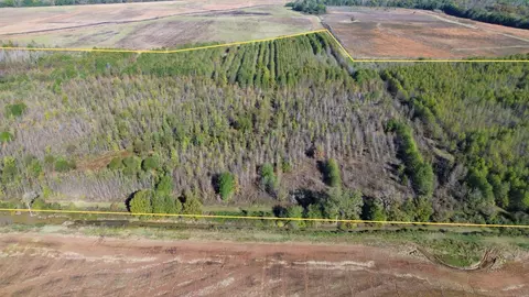 000 Easement Rd, Pine Bluff, AR 71601 photo 3