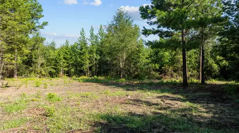9443 Mistletoe Rd #LOT 11, Gilmer, TX 75644