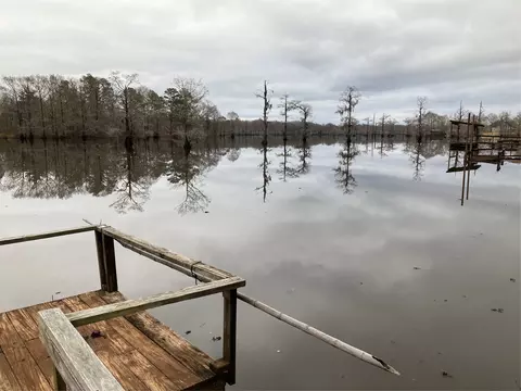 View/Area - 384 Claudes, Colfax, LA 71417 photo 4 of 6