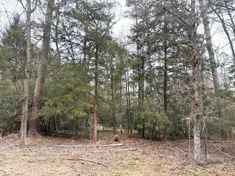 lot S 316 317 Brazos Bnd, Holly Lake Ranch, TX 75765