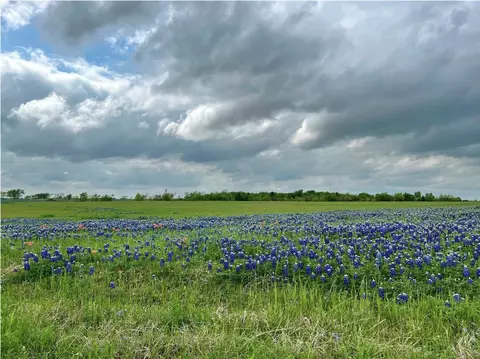 tbd 3 Acres Alsdorf Rd, Ennis, TX 75119