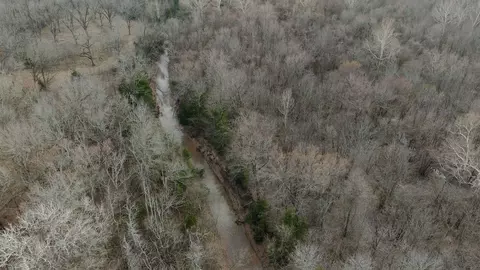 tbd Fm 79, Sumner, TX 75486 photo 9