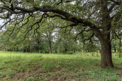 T4 Coleman Ranch Road, Tolar, TX 76476