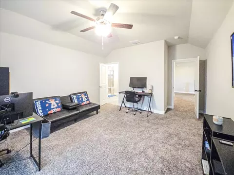 290 Shari Dr, Midlothian, TX 76065 photo 28