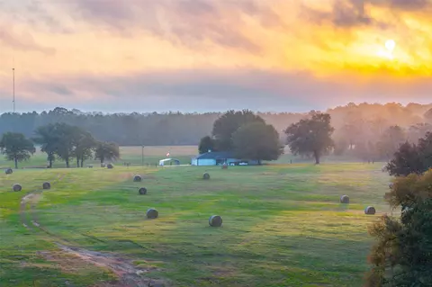 599 Anderson County Road 387, Palestine, TX 75801