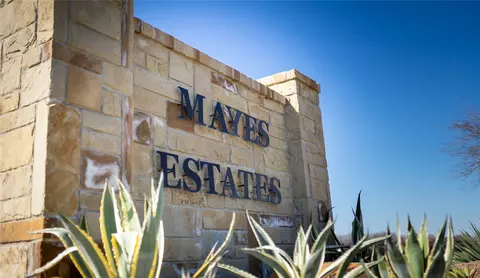 3690 Jacks Loop, Midlothian, TX 76065 photo 7