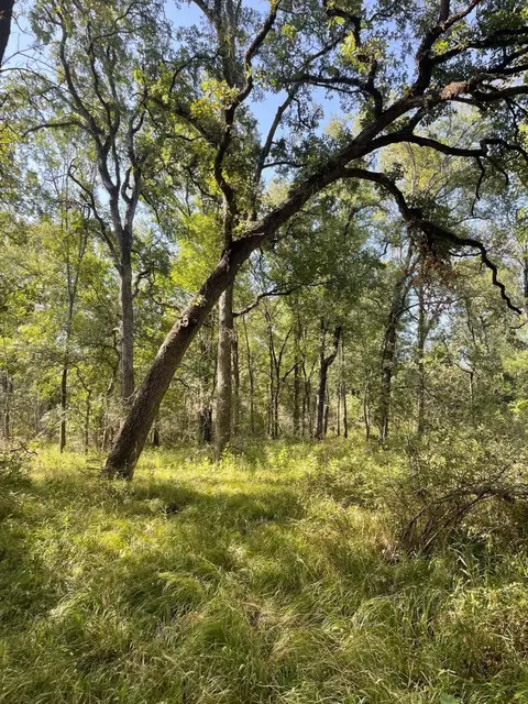 00 Tbd 828 Lcr 828, Groesbeck, TX 76642