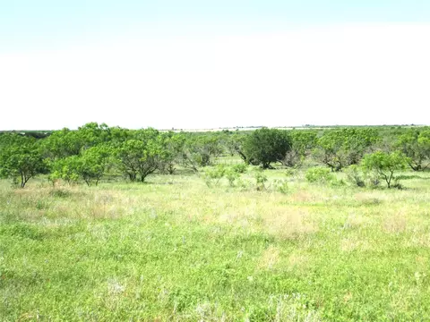 Tr 3 Boren, Ringgold, TX 76241