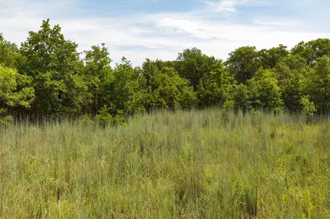 9455 Cr 335, Hawley, TX 79525