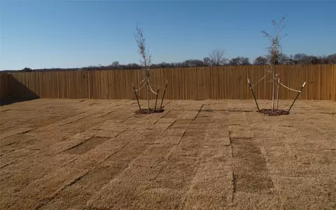 717 Raylan St, Springtown, TX 76082 photo 30