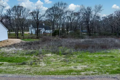 204 Splitrail Dr, Mabank, TX 75143 photo 8