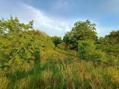 5330 E I- 30, Campbell, TX 75422 photo 28