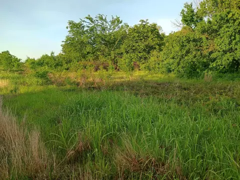 5330 E I- 30, Campbell, TX 75422 photo 14