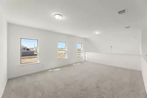 14111 Harden St, Pilot Point, TX 76258 photo 9