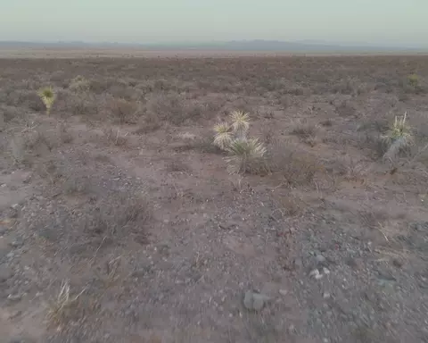 00 Us 90, Valentine, TX 79854