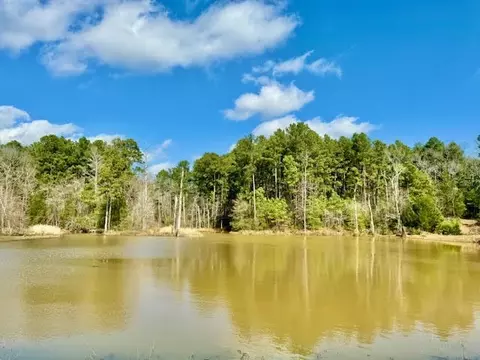 5681 An County Road 153, Palestine, TX 75801
