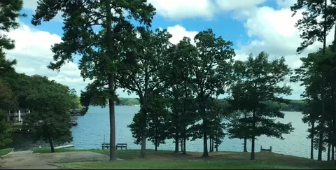 lot116 Nueches Ct, Scroggins, TX 75480