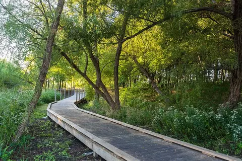 7045 Tree Stand Pt, Krugerville, TX 76227 photo 38