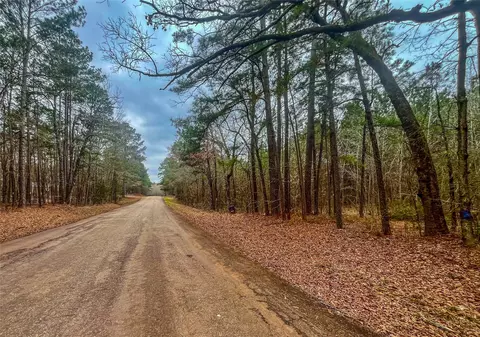 0 N Cr 102, Henderson, TX 75652
