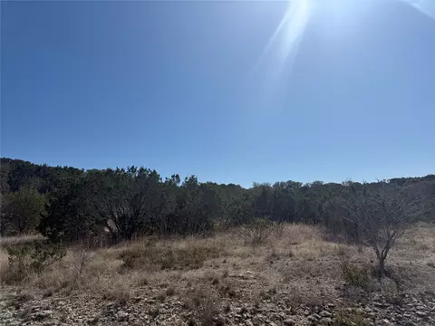 785 Blue Marlin Ct, Bluff Dale, TX 76433