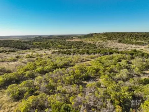 000 Big Country Trl, Strawn, TX 76475