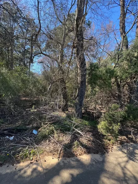 tbd Cr 2120, Pittsburg, TX 75686