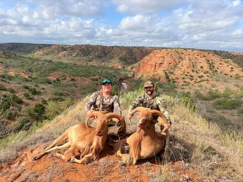 0 County Road 328, Rotan, TX 79546