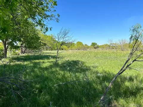 tbd Hwy 6 Hwy 6, Moran, TX 76464