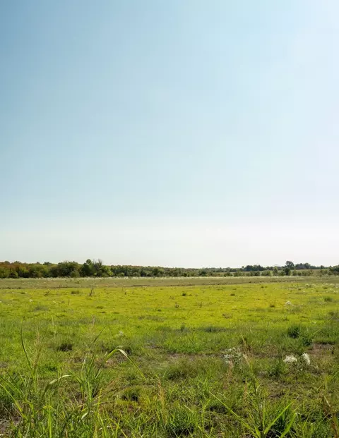 tbd Cr 3660, Ladonia, TX 75449