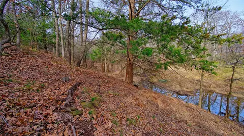 tbd 0 Fm 1125, Bowie, TX 76230